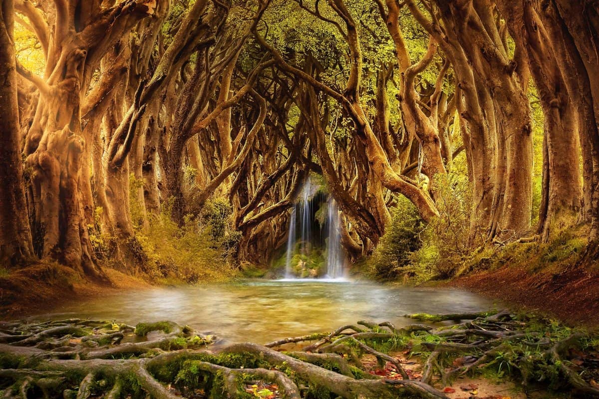 Géobiologie des lieux et du sacré, harmonisation de l’habitat